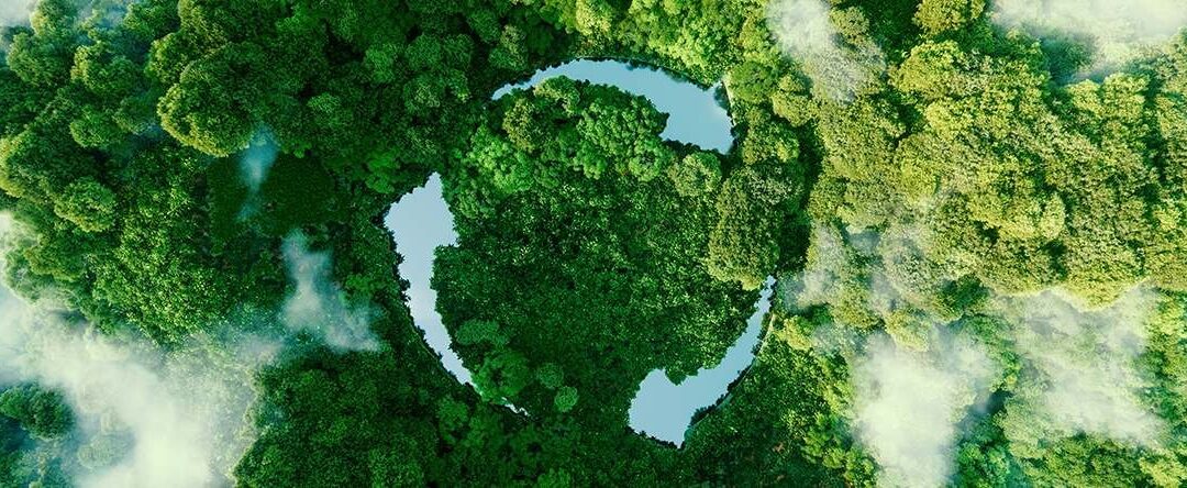 Going green in the security industry: Two key trends shaping a more sustainable future